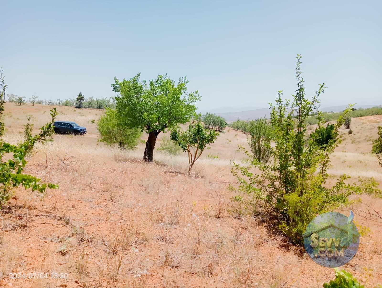KARAMAN MERKEZ MURATDEDE KÖYÜNDE 3.472 M² BAĞ SATILIKTIR