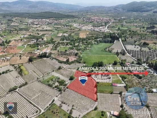 KUŞADASI KİRAZLI da SATILIK ÜZÜM BAĞI ANA YOLA YAKIN