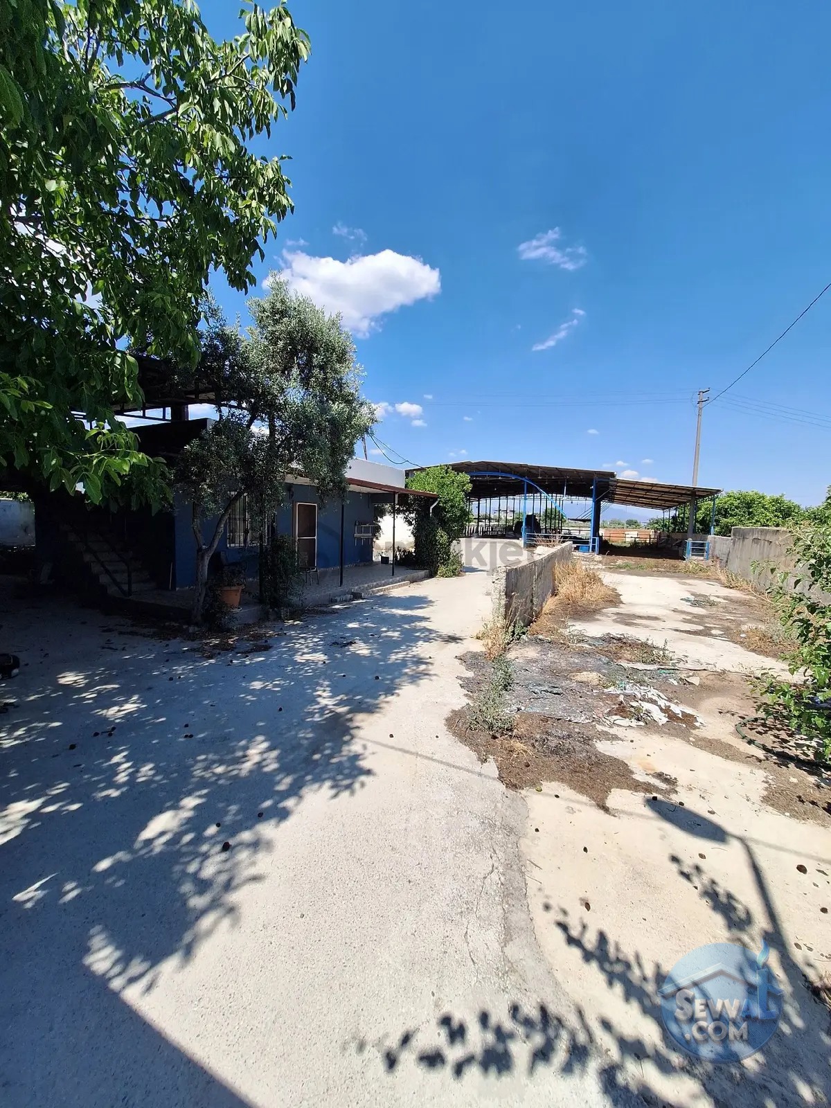 Sultanhisar Atça Da Satılık Çiftlik