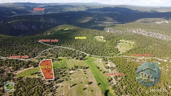 🚨 ÇAVDARHİSAR'DA 3.975 M² TİNY HOUSE VE HAYVANCILIĞA UYGUN FIRSAT ARAZİ 🚨