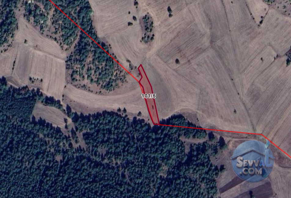 KÜTAHYA MERKEZ YENİ KIZILCAÖREN  KÖYÜNDE  2.433 M² TARLA  SATILIKTIR