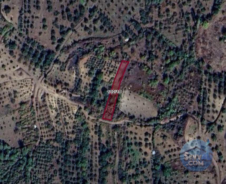 BİLECİK GÖLPAZARI BÜYÜKBELEN  KÖYÜNDE  856 M² BAHÇE  SATILIKTIR