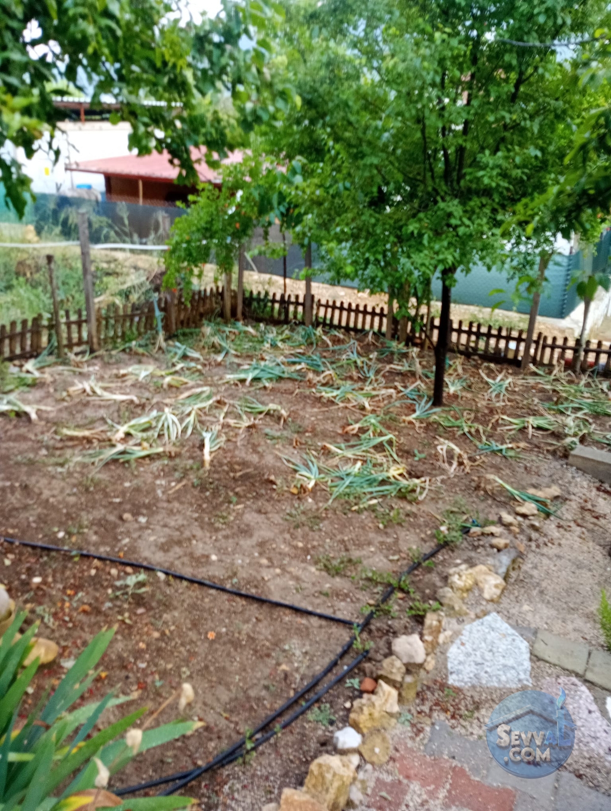BURDUR BUCAK TAŞYAYLA KÖYÜNDE SATILIK FIRSAT BAHÇE