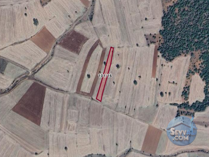 KÜTAHYA ÇAVDARHİSAR GÖKAĞAÇ  KÖYÜNDE  2.090 M²  TARLA SATILIKTIR