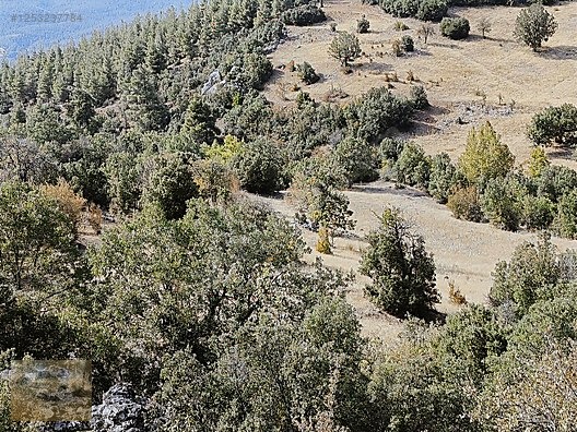 konyaaltı Doyranda 629m tapulu arsa