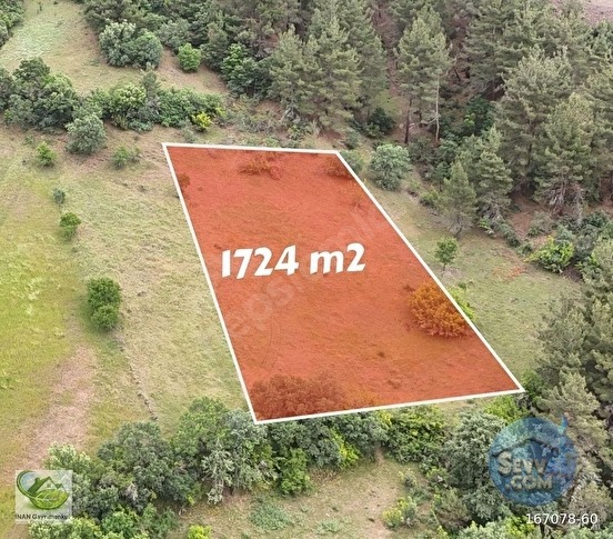 🚨 TAVŞANLI'DA KÖYÜN ÜSTÜNDE 1.725 M² HARİKA ARAZİ 🚨
