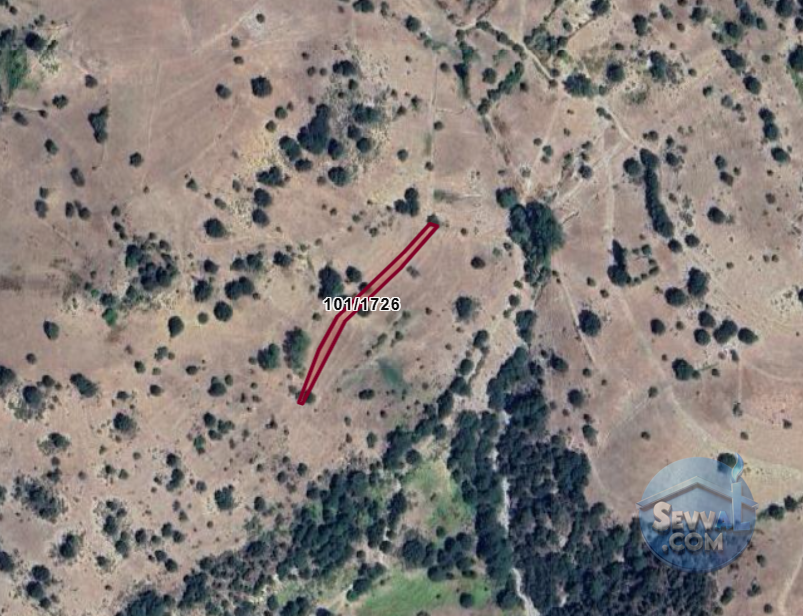 KÜTAHYA SİMAV HASANÖREN  KÖYÜNDE  1.099 M² TARLA  SATILIKTIR