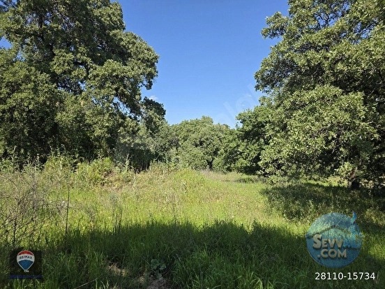 AYDIN BOZDOĞAN OSMANIYE'DE 71.000M² SATILIK ZEYTIN BAHÇESI TAMAMI SATILIK