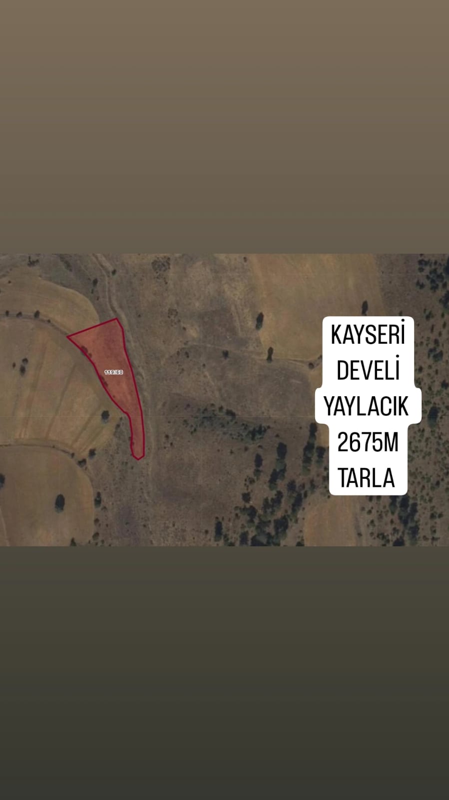 Fotoğraf