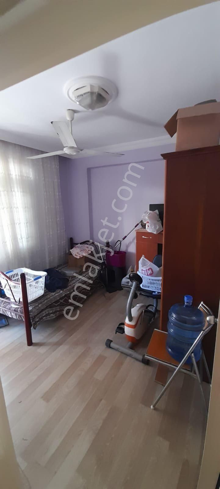 Fotoğraf