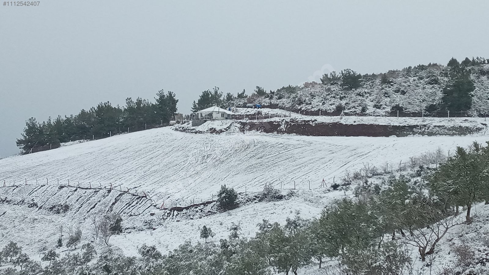 Tarla vasfında köy içi 9.133m2.tek tapulu 1+1 ev. tamamı telcit - MANİSA AKHİSAR fotoğraf 2