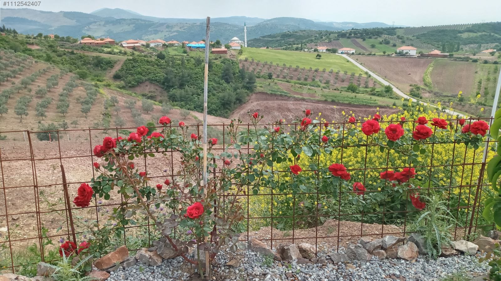 Tarla vasfında köy içi 9.133m2.tek tapulu 1+1 ev. tamamı telcit - MANİSA AKHİSAR fotoğraf 7