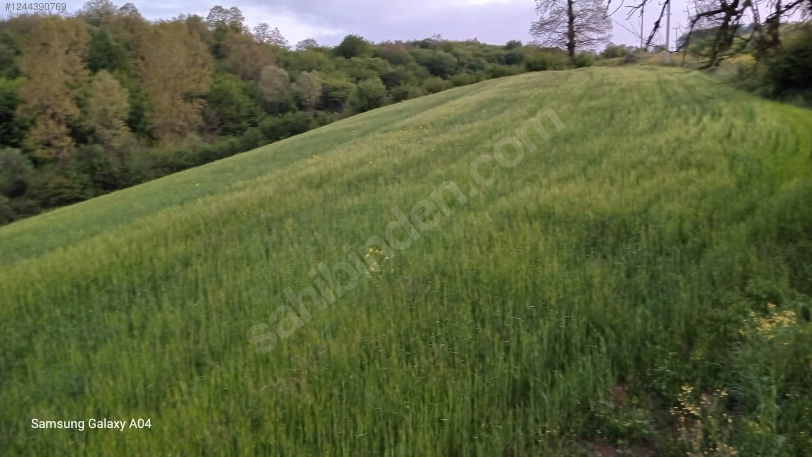 SATILIK ARSA - KOCAELİ İZMİT fotoğraf 2