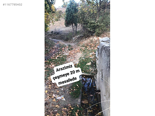 ASFALT YOLA CEPHELİ YATIRIMLIK 11 DÖNÜM - BURSA BÜYÜKORHAN fotoğraf 4