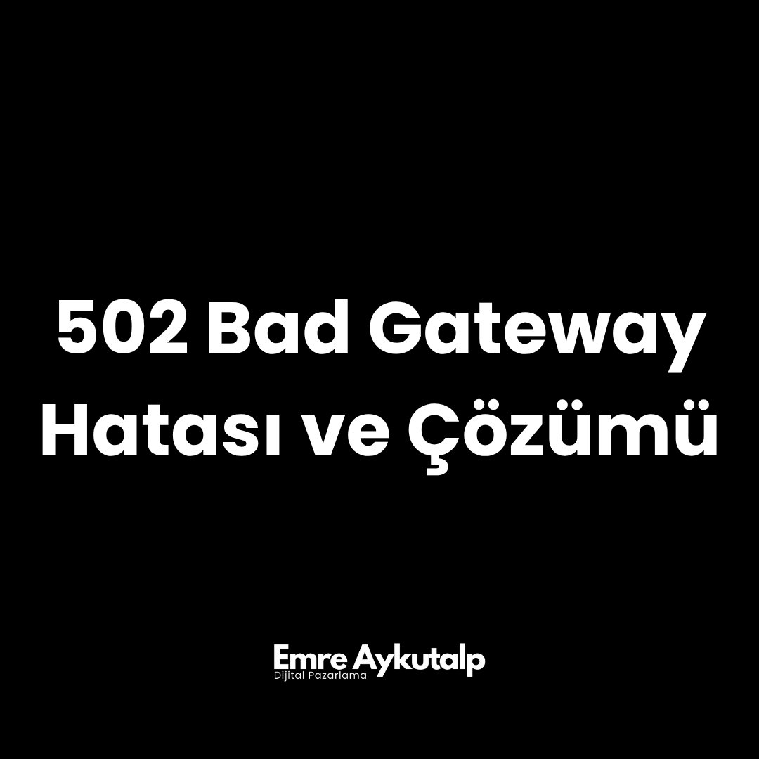 Seviye 5 Belgesi